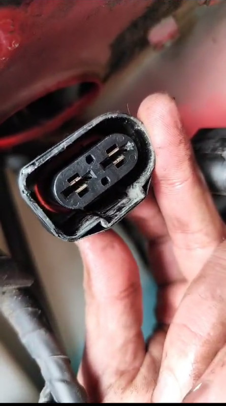 Screenshot_2024-10-28-10-52-51-740_com.whatsapp-edit