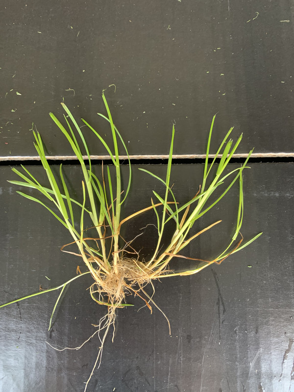 854A76FC-C46F-4420-8AA7-82BAD82BE396