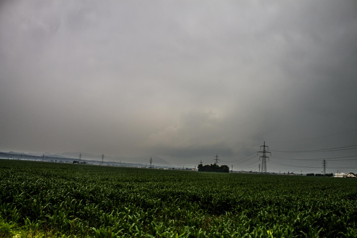 IMG_8917