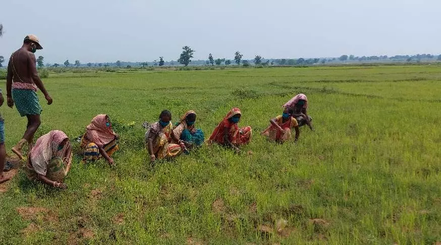 Benefits to Farmers in Maharashtra