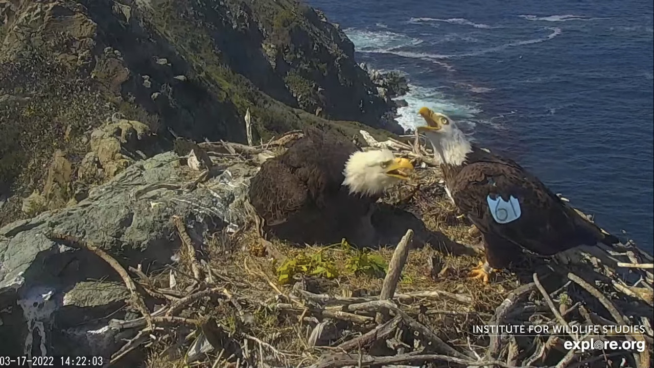 BA9C8FC8-1604-4729-AC74-3487BAA58247