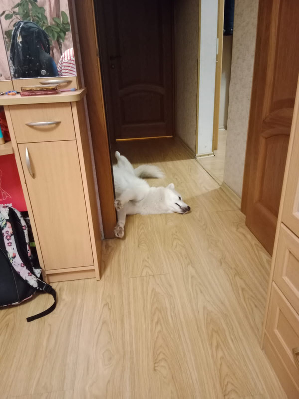 17F0EF0B-5EBA-4E40-B1B6-F1FF00B46B3B