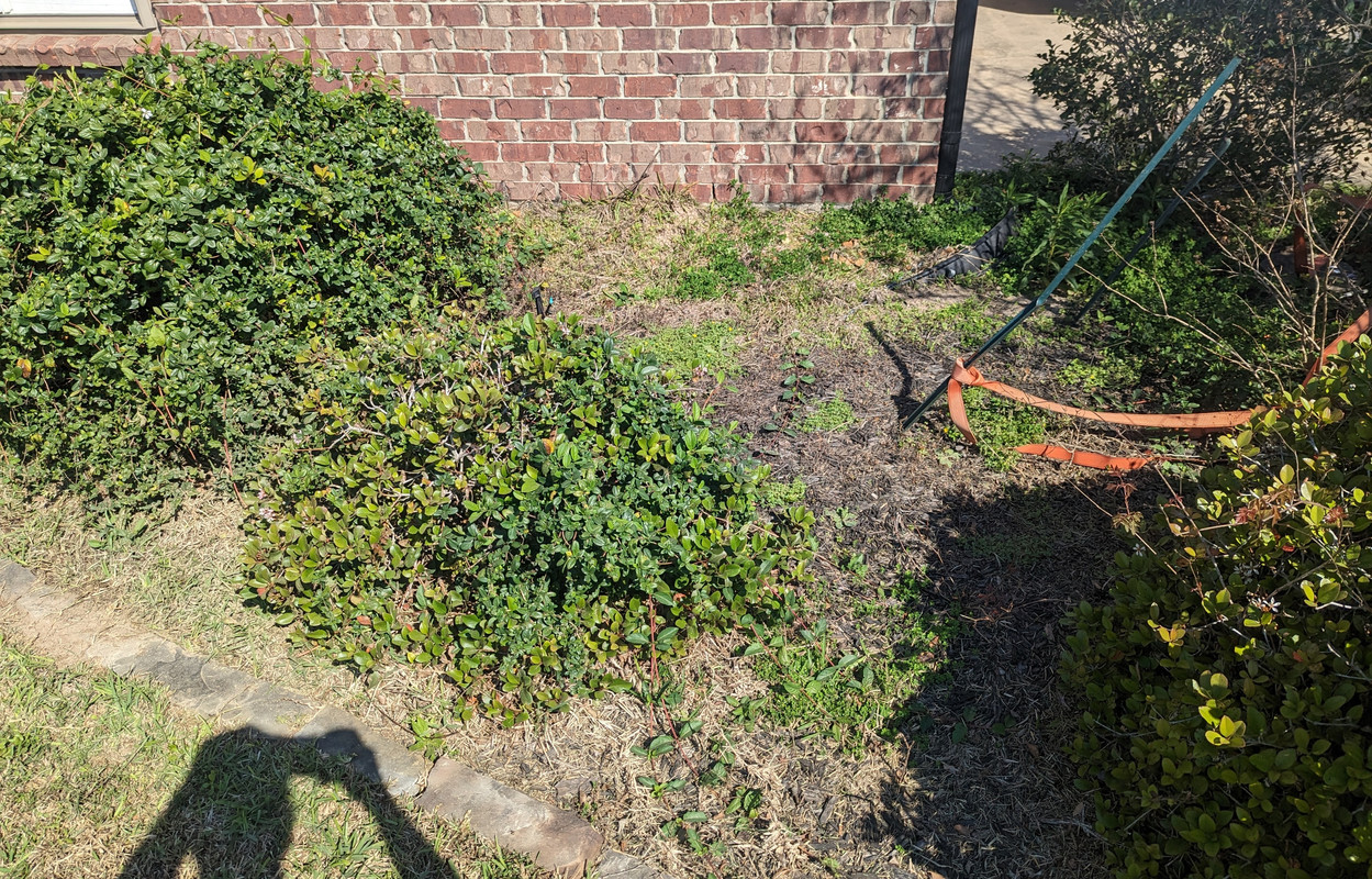 PXL_20230305_163639193