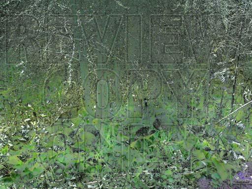 [3] Photoillustrations -- GIMPed, Photoshopped, G&#039;MIC plug-in, Hugin for panoramas