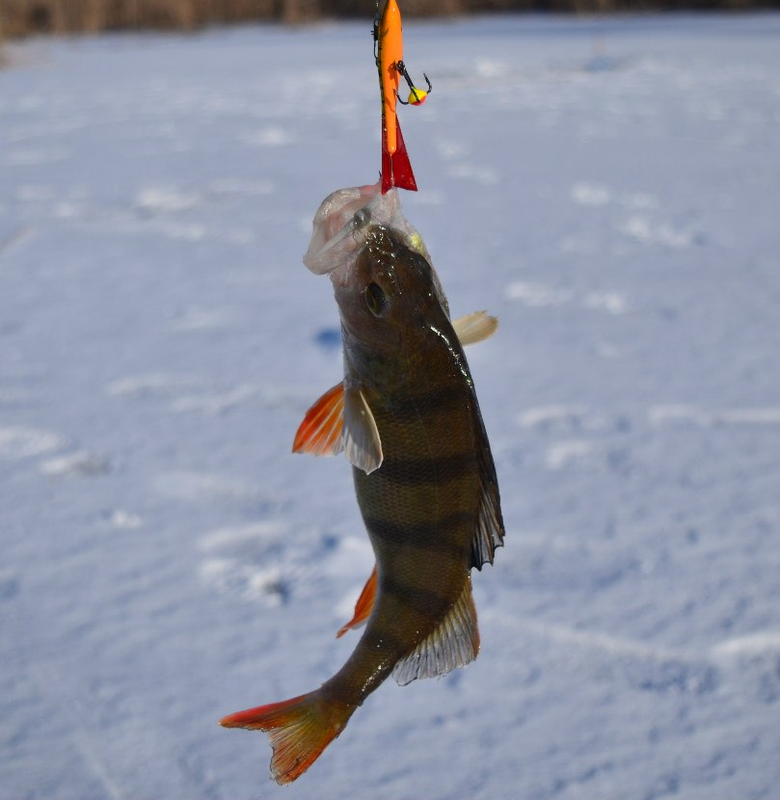 photoeditorsdk-export (2)