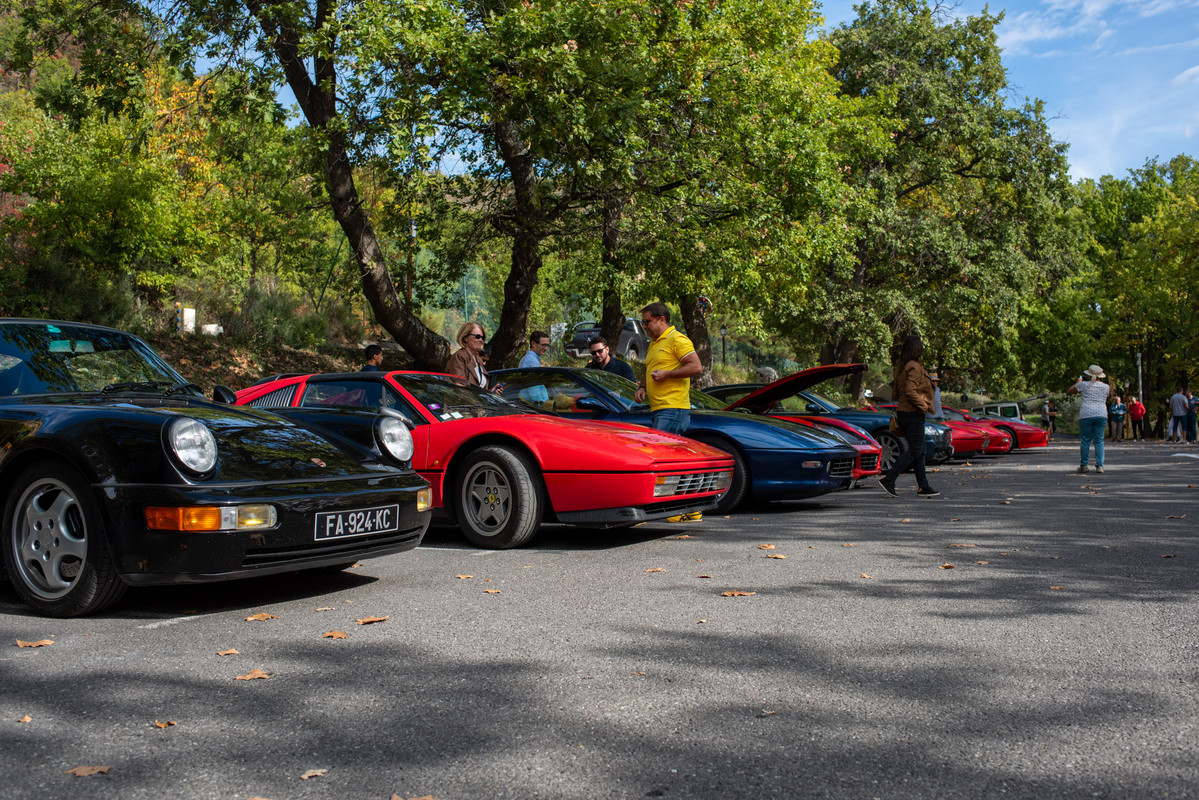 DSC9920.jpg