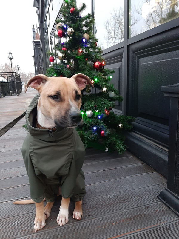 F211451C-256A-4967-B13A-84CA5A9F1B06