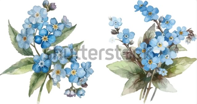 [Image: 6006-DD05-E2-F4-4-AF2-953-E-2-D76-C6-F26-B4-E.jpg]