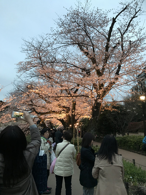 63584A3F-822C-4F56-A6B2-5FF4C080C31E