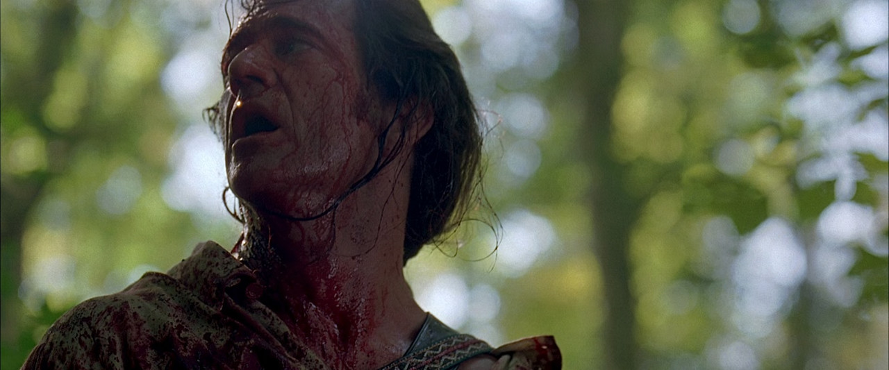 The Patriot (2000) Extended.mkv_snapshot_00.45.10