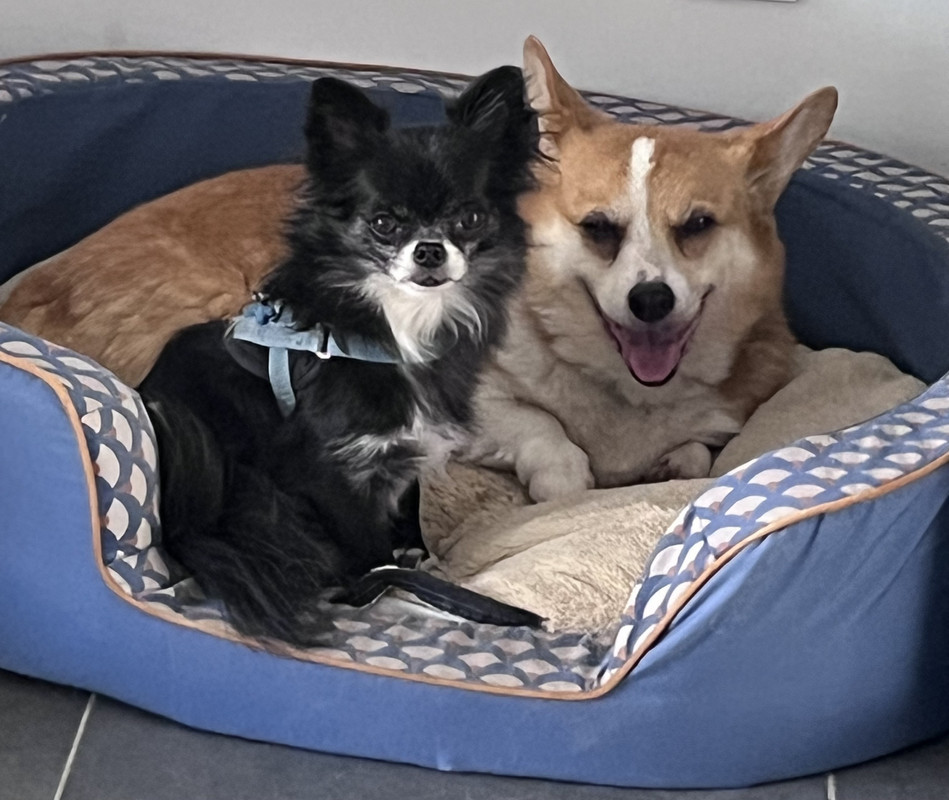 [Image: IMG-6455.jpg]