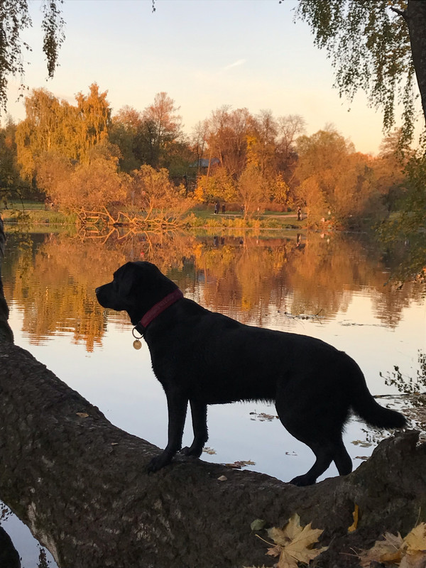 B5FB75F7-8429-4237-8CC0-E40BC0C319E2