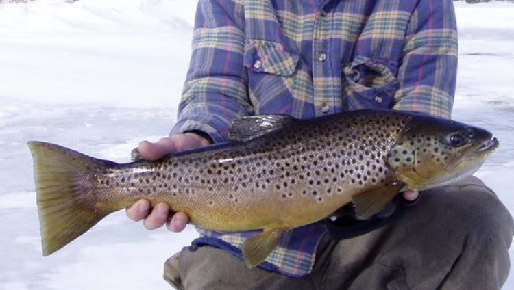 2FE942A2-1AD6-4CFF-8002-162A45966D94