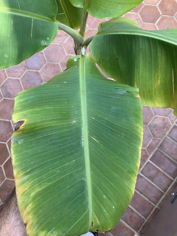 F7F41E19-568E-47DC-ACB2-3D01F2BEDC7E