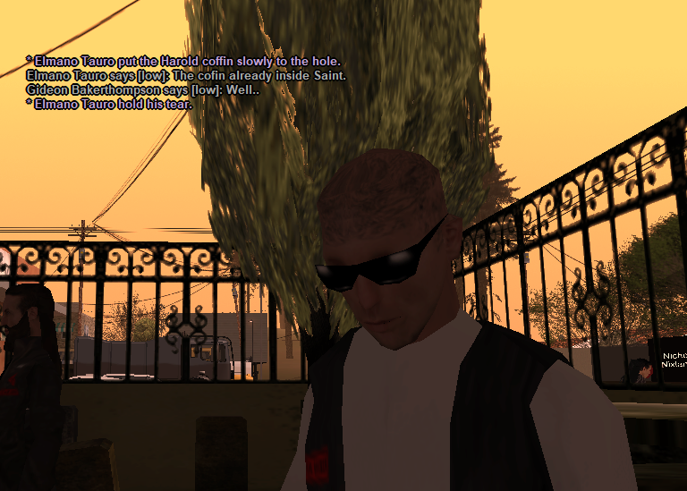 ssrp33a.png