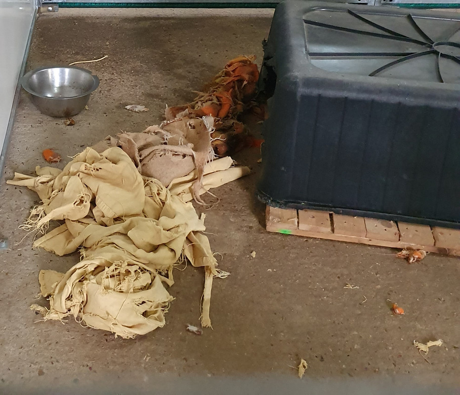 [Image: 20210411-214132.jpg]