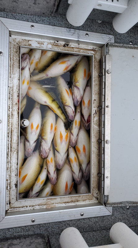 429789544_10229269163466151_3040577532229953407_n perch