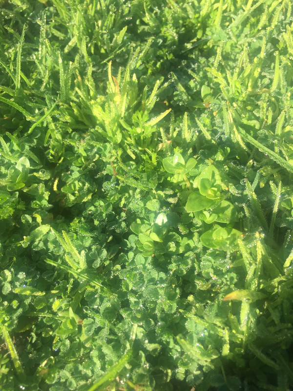 62A5CFBC-142E-4A94-9C78-B67760D6C0E8