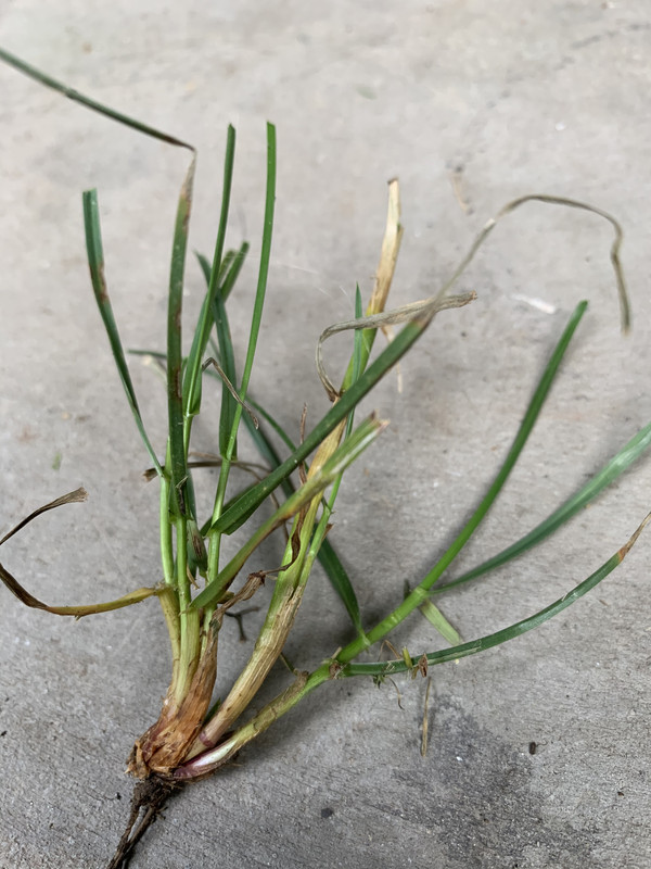 22E19884-8859-4215-9A73-14A7309F69AF