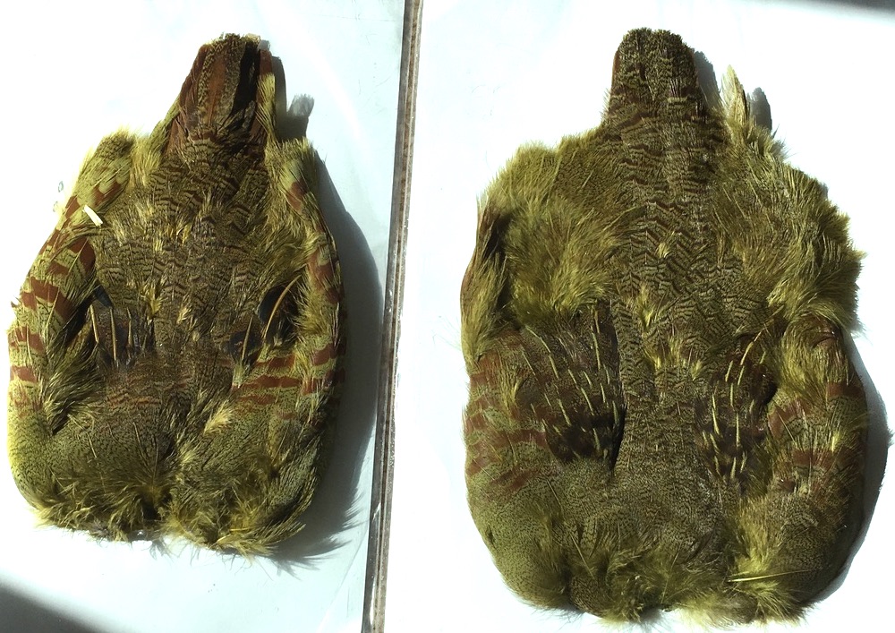 Dyed Olive Partridge Skins