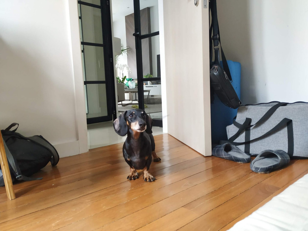 [Image: IMG-20221017-WA0004.jpg]