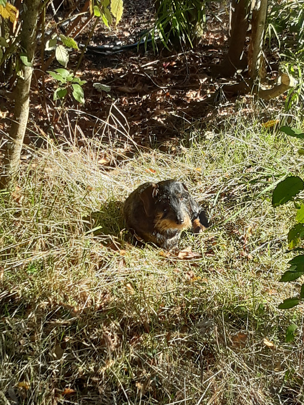 [Image: 20240526-112358.jpg]