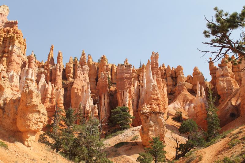 Día Doce: Bryce Canyon- Page - My West USA road trip: un viaje de película. (3)