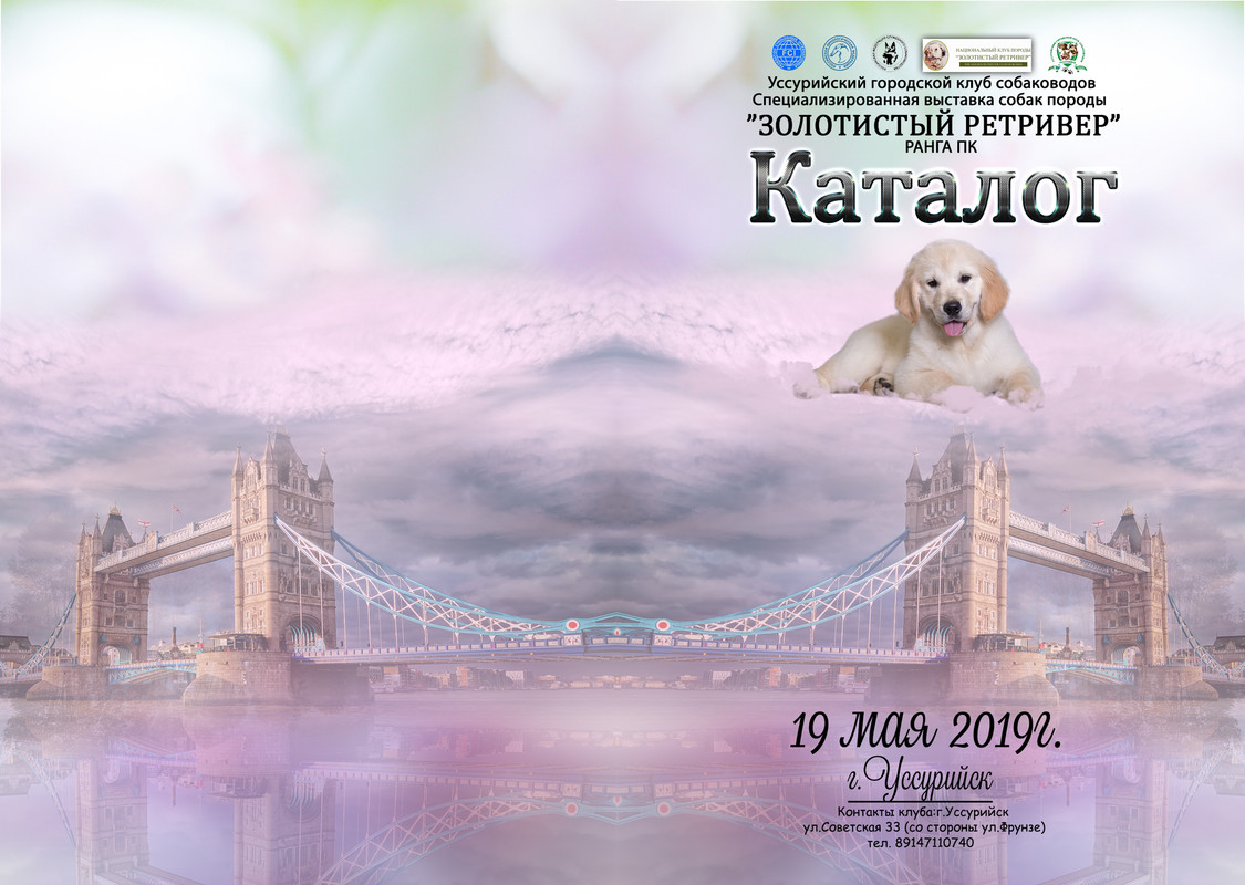 катал ЗОЛОТ ?ЕТ?ИВ