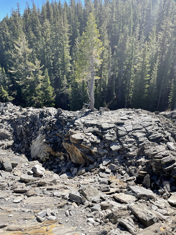 9367B321-47B8-4E01-AC65-BA26BB3789A2