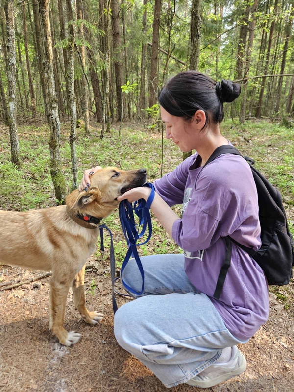 IMG-90de5c5fea05059cb8b5de6e2e3e88c4-V