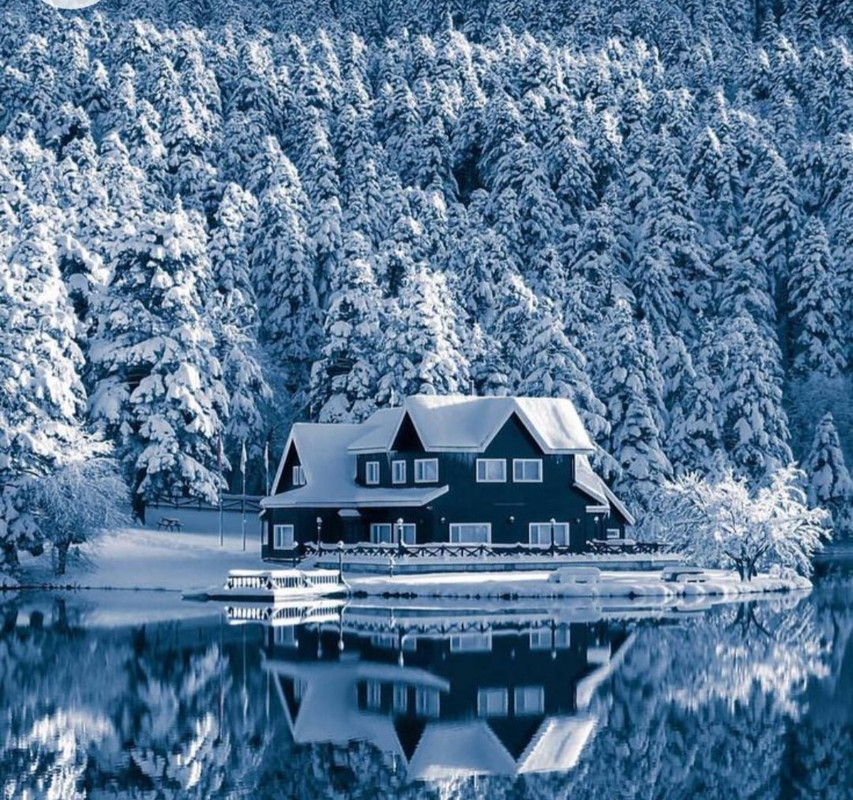 Screenshot_20221203-025356_Chrome