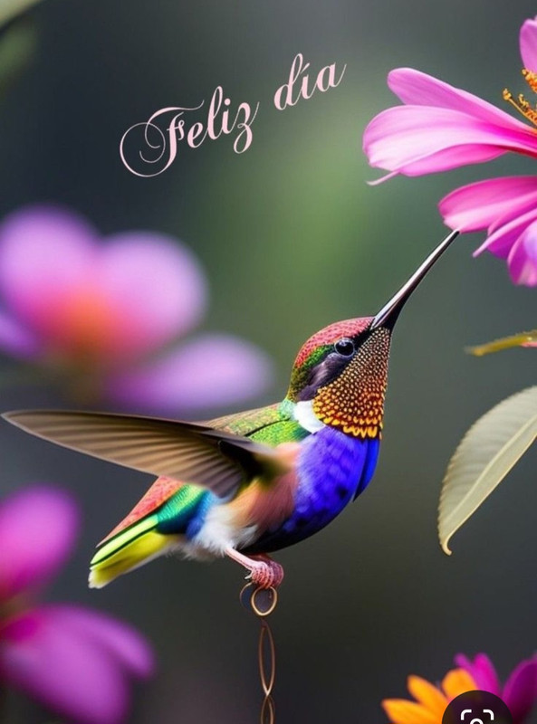 Screenshot_20240328_201319_Pinterest