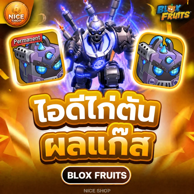 ไก่ตันผล magnet ในกล่อง