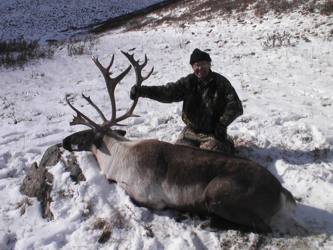 2010 caribou