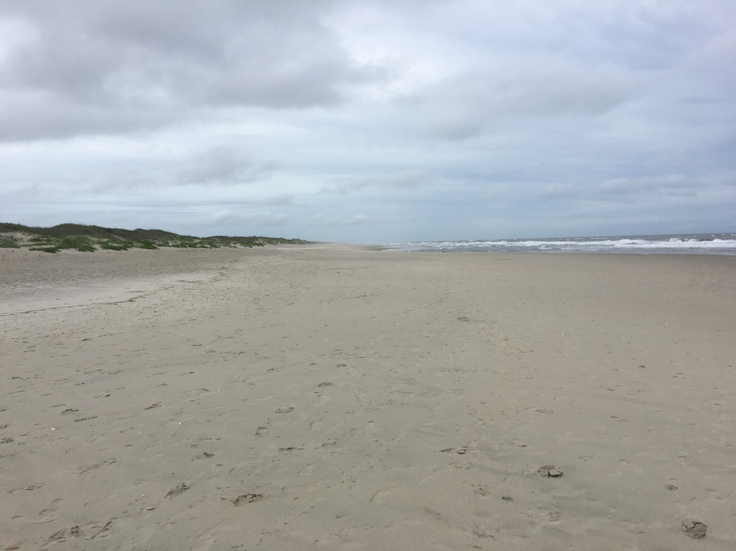 EE97CE2F-3CCC-41E6-B81D-14280FDE87CF