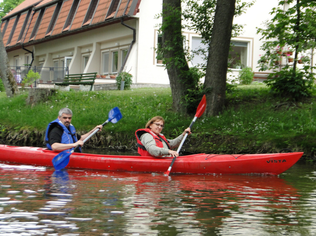 06 - DSC03901 (Mysikrólik)