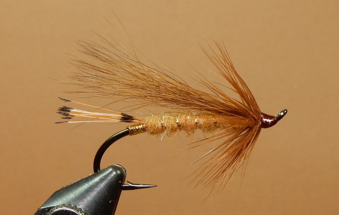 Kingsey-Special-1080.jpg