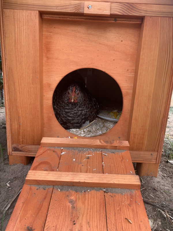 1ADB56B7-DC70-4F55-8961-52A5630F5D49