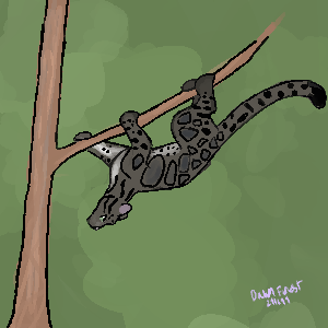 IMG-1099.png