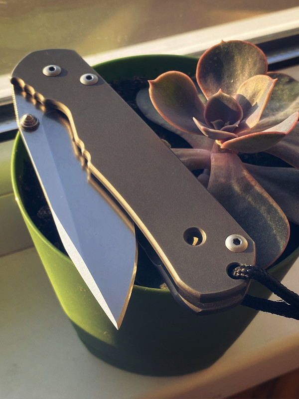 FDE799D8-DC02-4A9D-BC32-8D224741FC7D