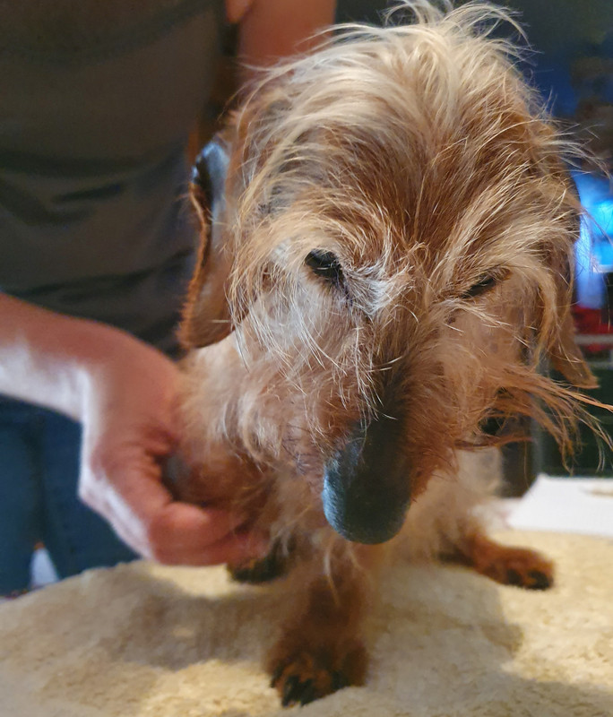 [Image: 20220615-155739.jpg]