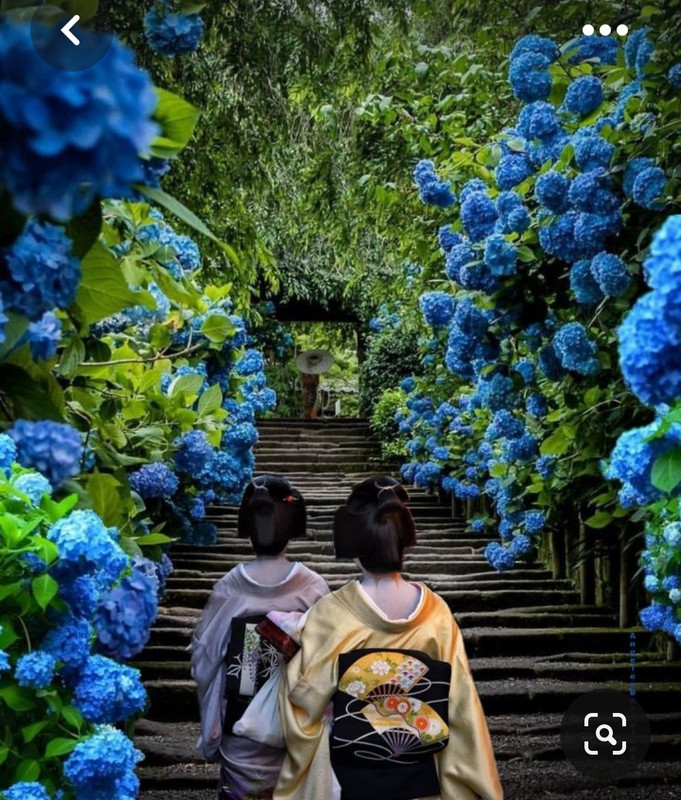 Screenshot_20230816_235709_Pinterest