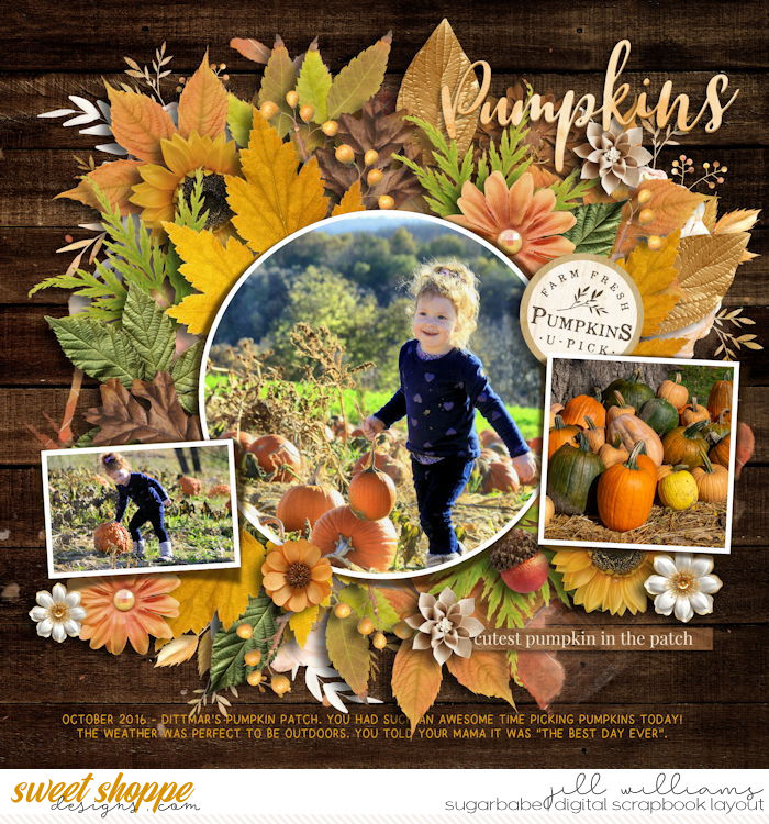 9-18-2025-AUTUMN-FOREST-AUTUMN-I-LOVE-YOU-KCB-HELLO-AUTUMN-FDD.jpg