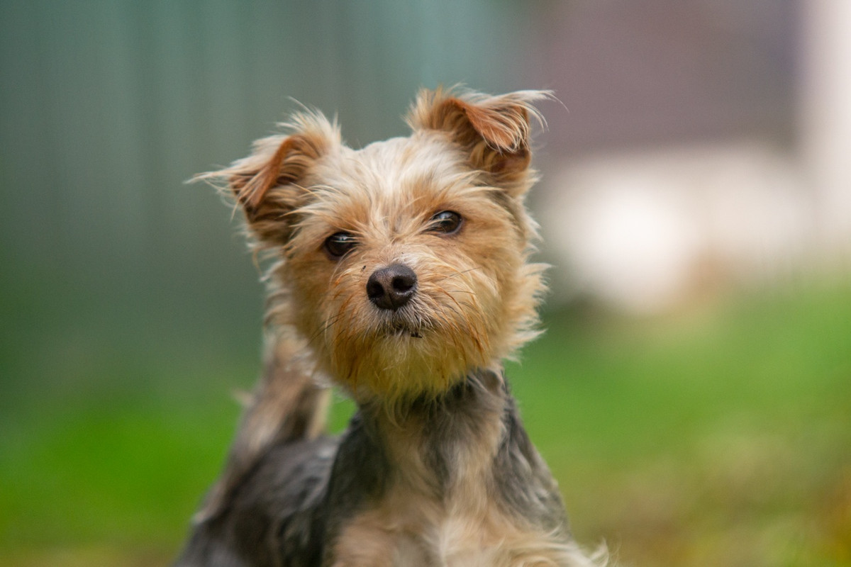 rsmz_s4WzmQM8J3ywCPabIQC_7jIckdMHGBToIIn1T2rnyGVJj6EbfNN9HQVzzrYrDn20dJDDW2Fi5hF4a8ZEe2J