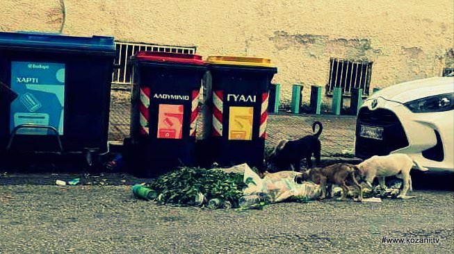 κοζάνη, ειδήσεις, νέα, Πτολεμαΐδα 