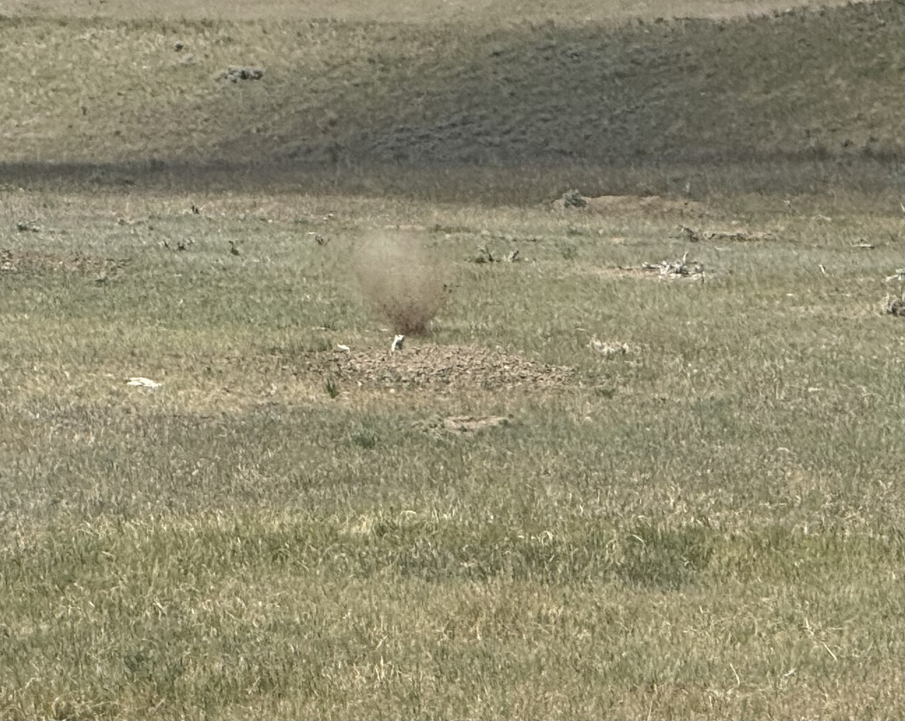 IMG 3052