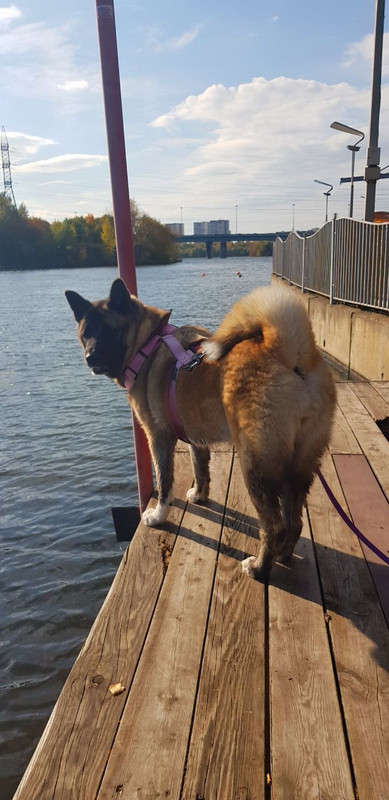 FEF20641-5C20-4561-878A-5894600289E0