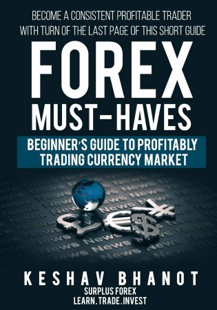 Forex Must-Haves Beginner's Guide to Profitably Trading Currency Market