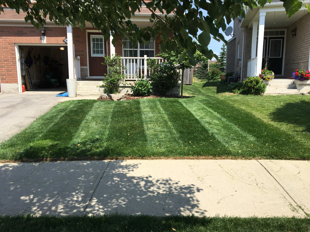 CEBB3CC6-3C5A-4ECF-ABB9-6F56F2310E78