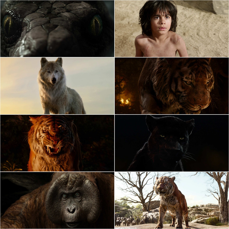 The Jungle Book (2016) Dual Audio [Hindi + English] Full Movie screenshot